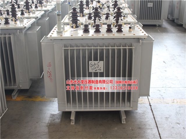 岳阳S11-6300KVA油浸式变压器
